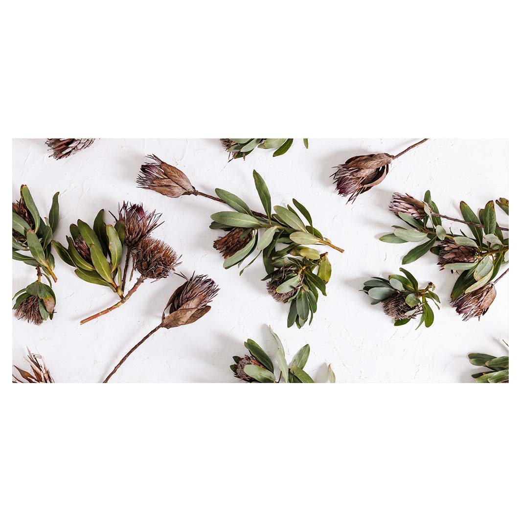 SCATTERED DRIED PROTEA WITH GREEN LEAVES TABLECLOTH