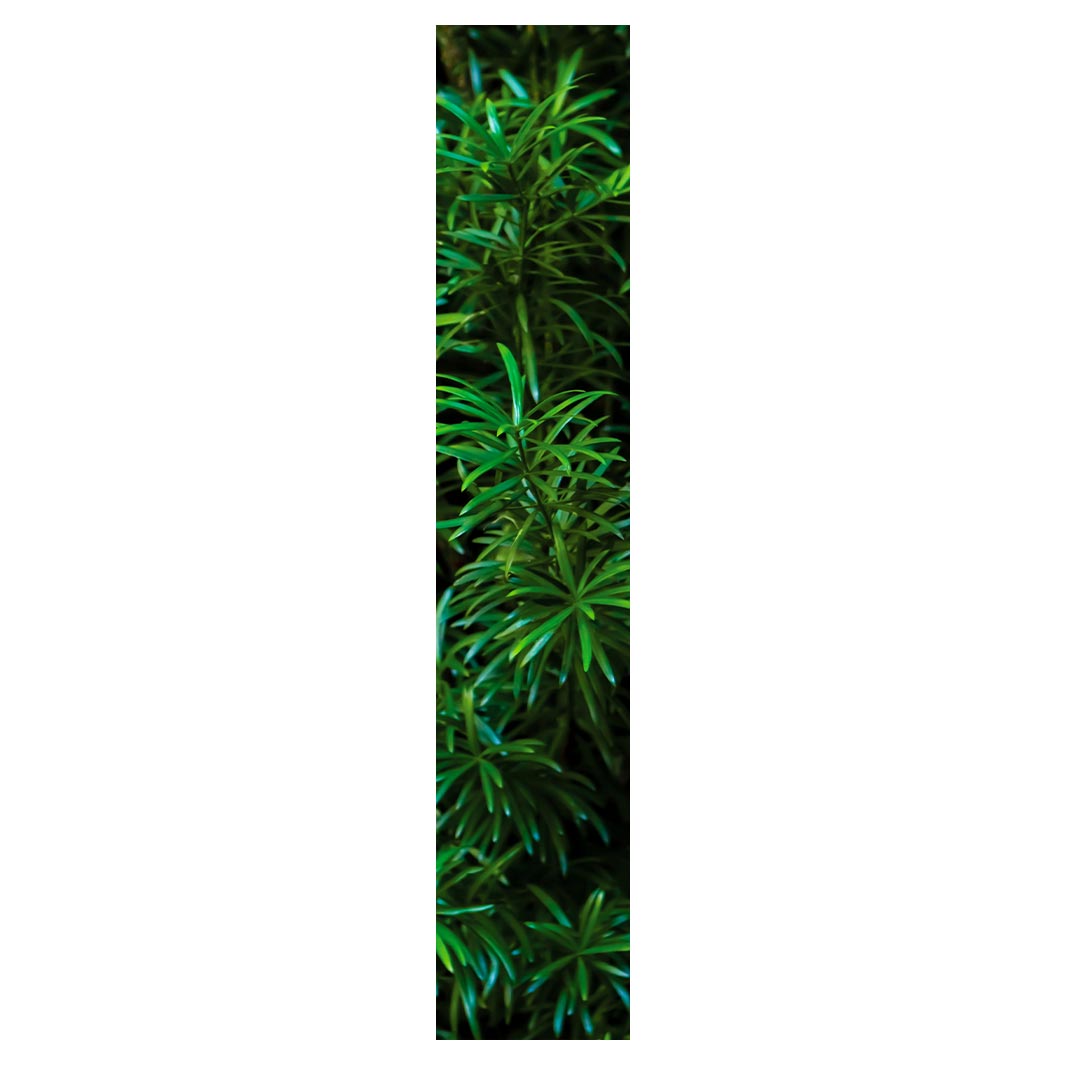 LEAVES GREEN TREE TABLE RUNNER