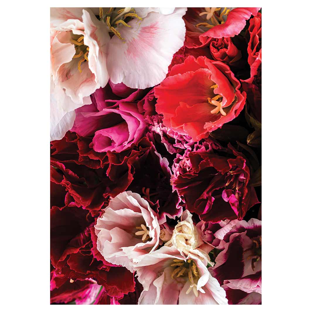 FLORAL PINK AND RED LISIANTHUS FLOWER MIX TEA TOWEL