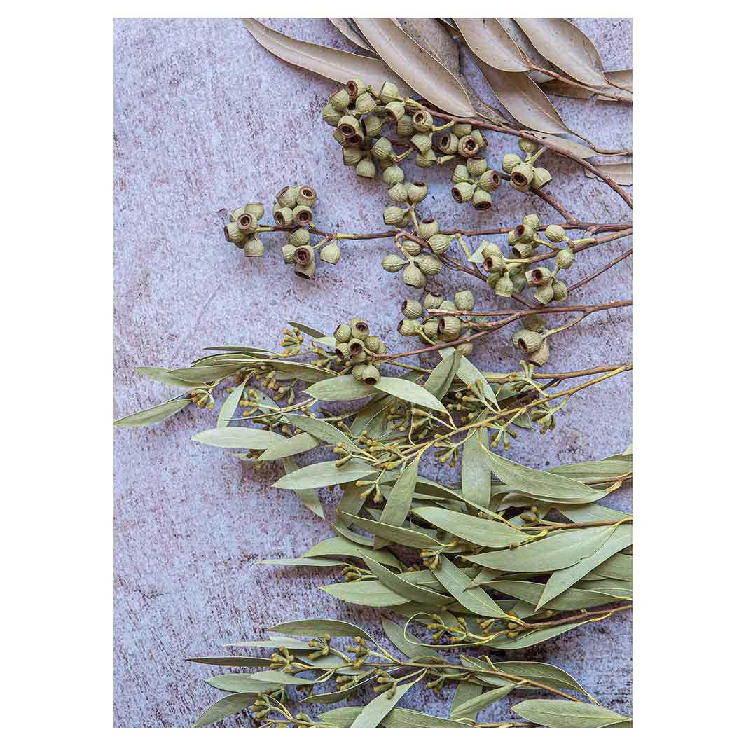 LEAVES BROWN NATURAL AMBERNUTS WITH GREEN FOLIAGE TEA TOWEL