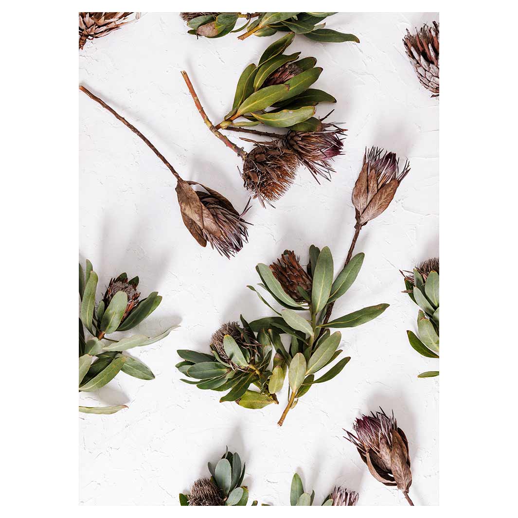 SCATTERED DRIED PROTEA WITH GREEN LEAVES TEA TOWEL