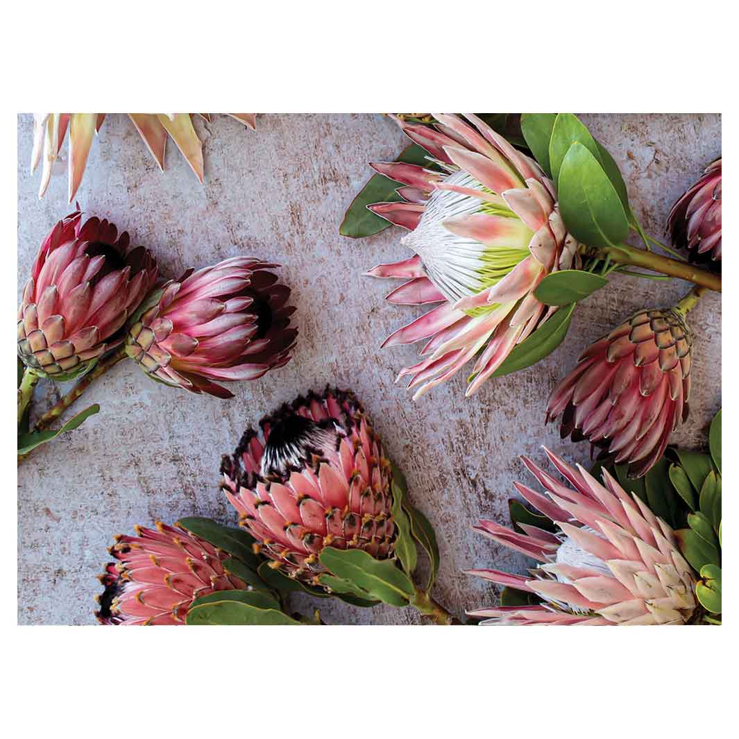 FLORAL PINK MIXED KING PROTEAS TEA TRAY