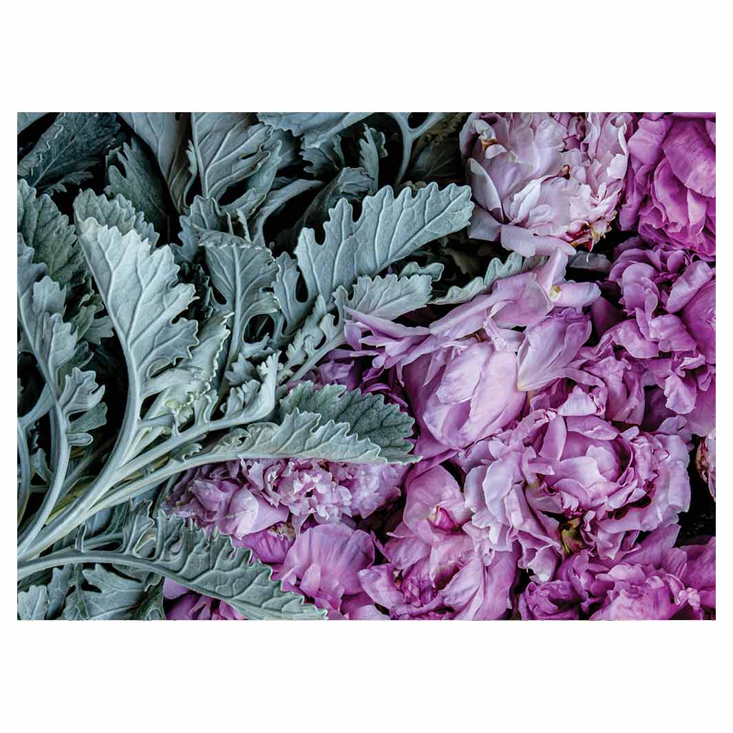 FLORAL SILVER LEAVES WITH PINK PEONIES TEA TRAY