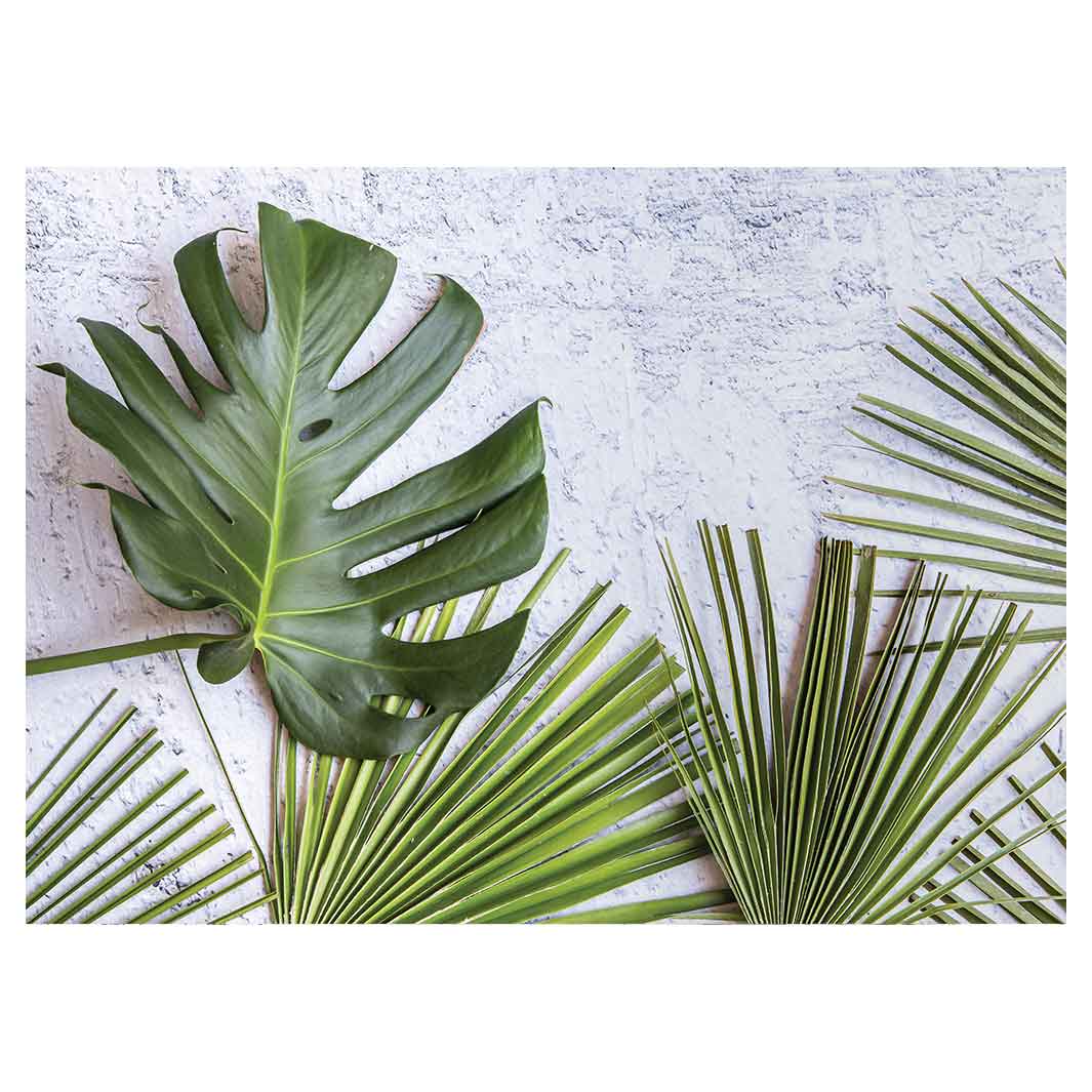 LEAVES GREEN PALM LEAVES ON WHITE TEA TRAY