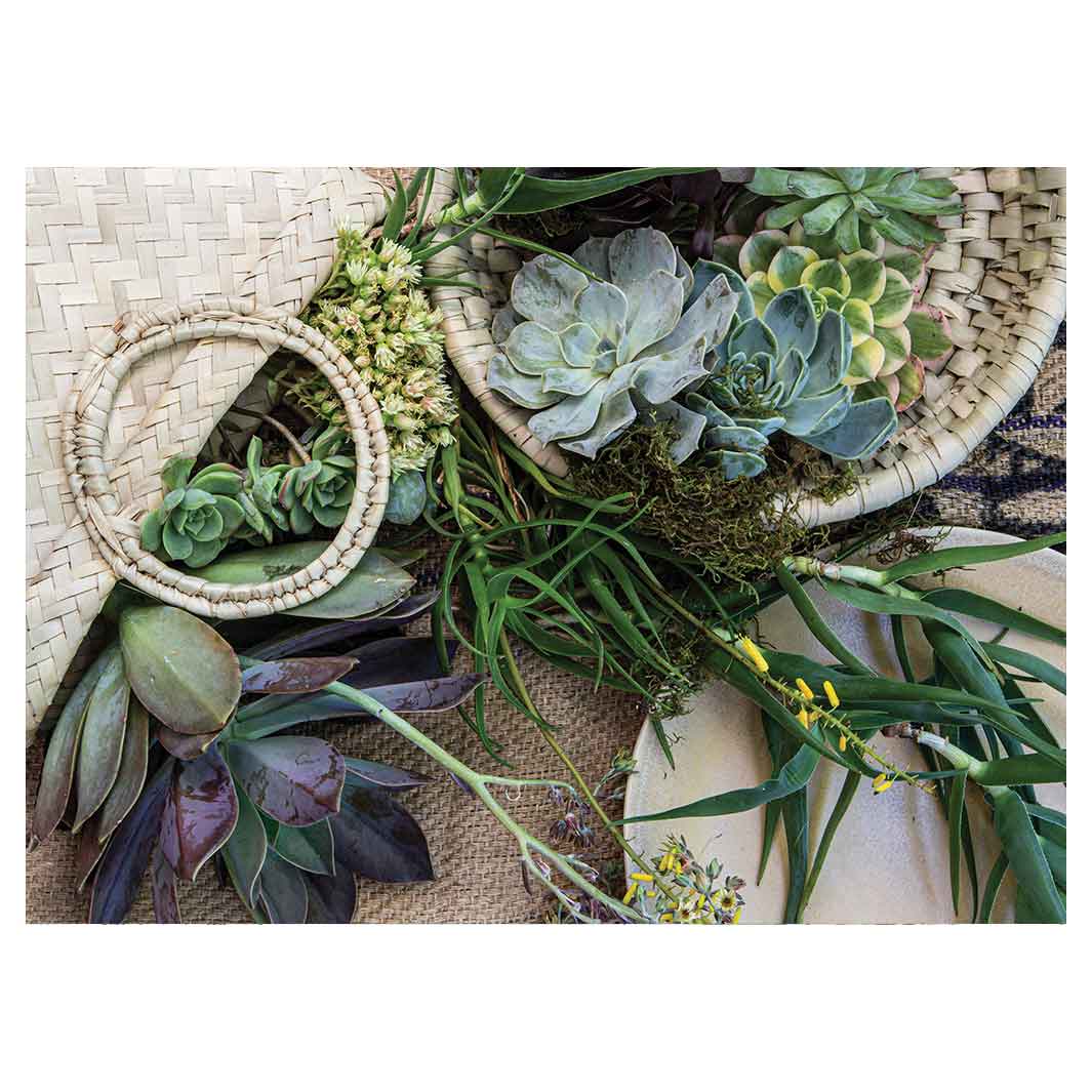 NATURAL GREEN ALOE BOUQUET IN BASKET ON HESSIAN TEA TRAY