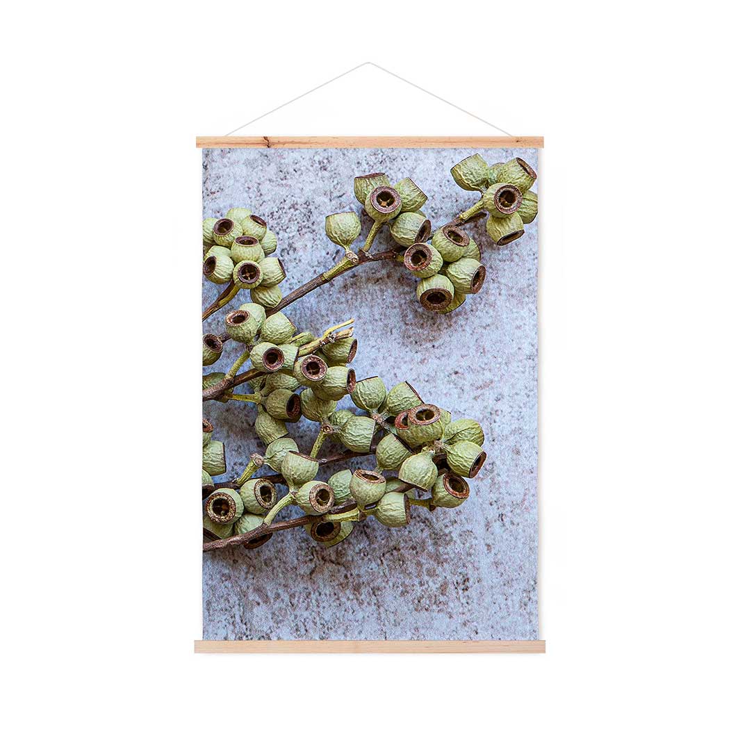 NATURAL GREEN NATURAL AMBERNUTS WALL HANGING