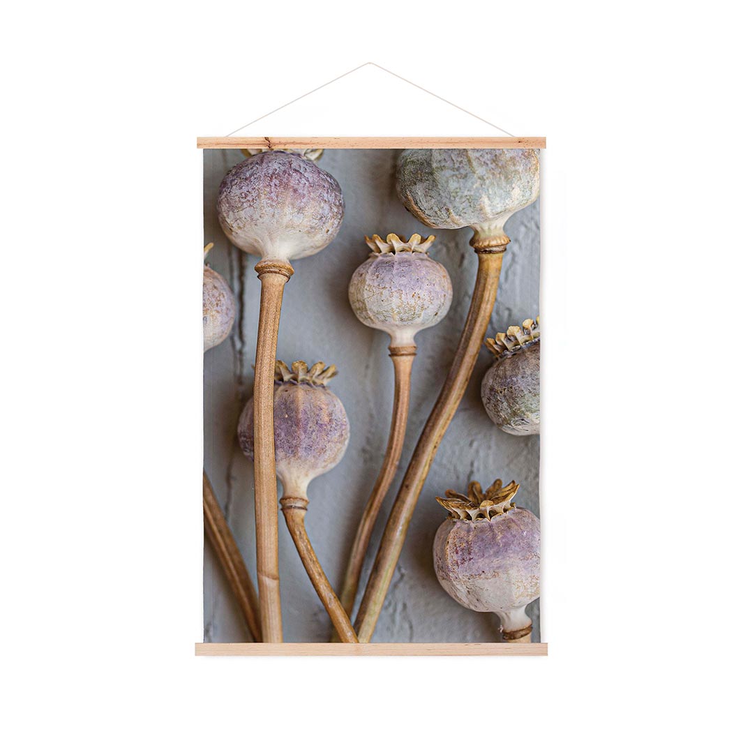 NATURAL PURPLE GIANT POPPY SEEDS ON GREY WALL HANGING
