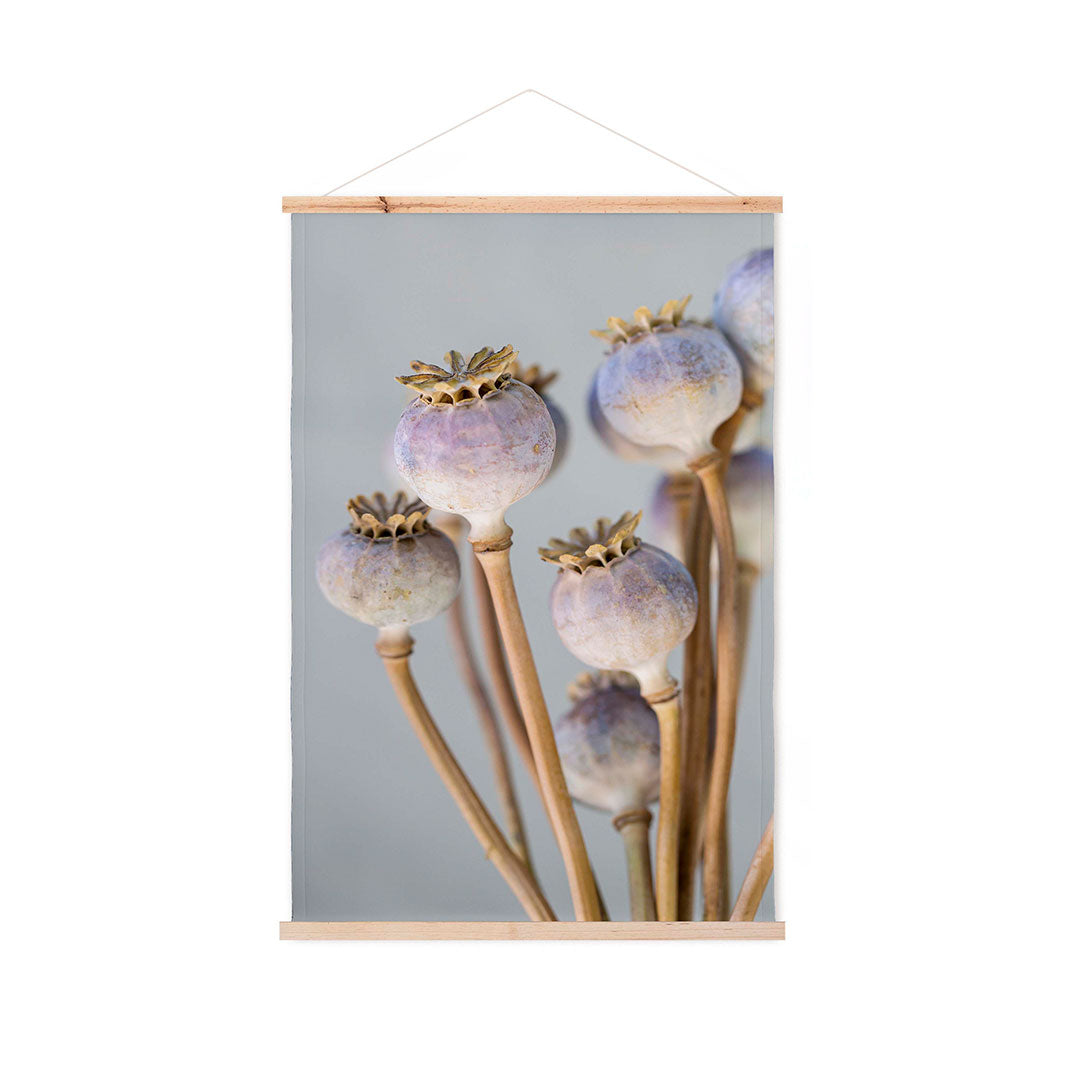 NATURAL PURPLE GIANT POPPY SEED BUNCH ON GREY WALL HANGING