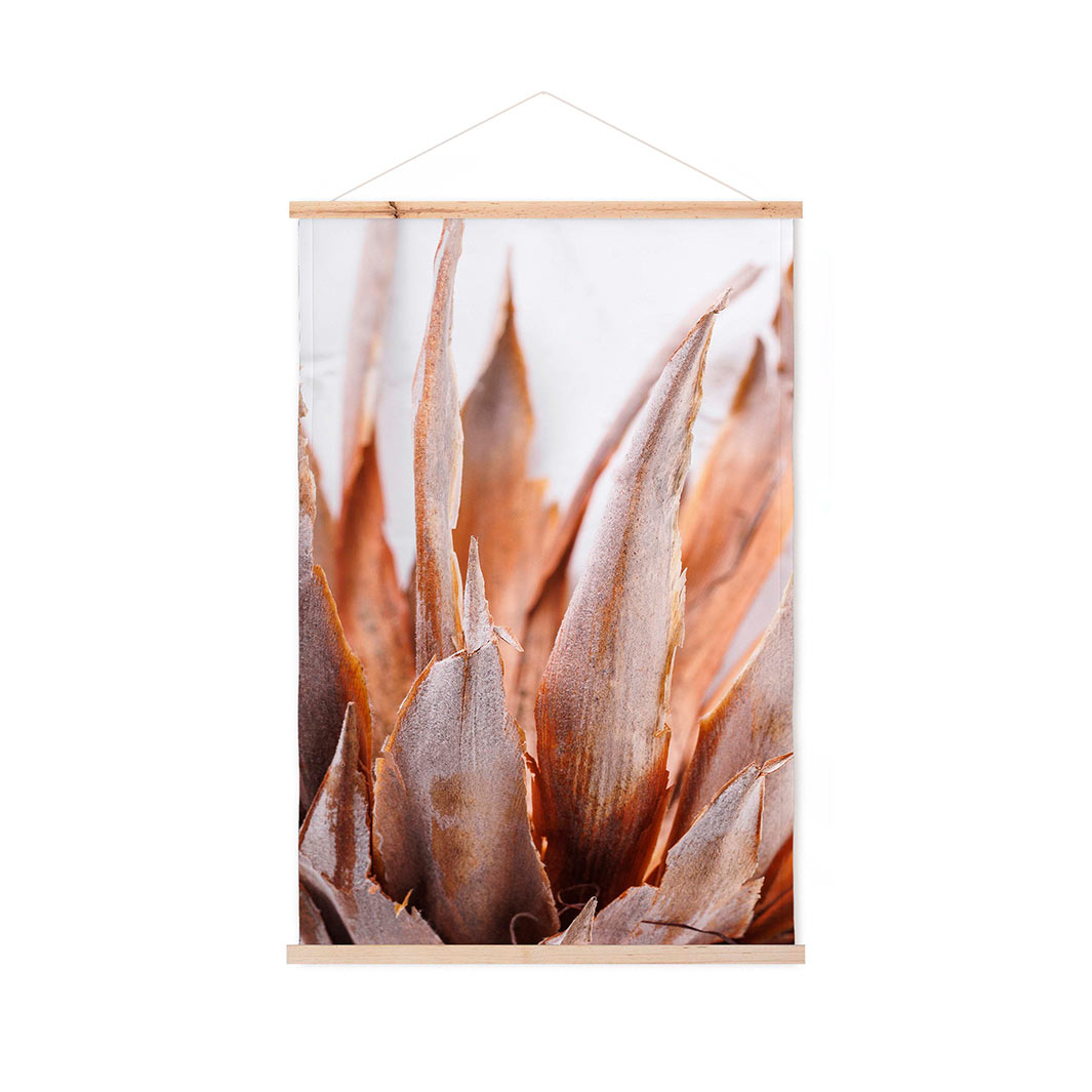 DRIED PINK PROTEA WALL HANGING