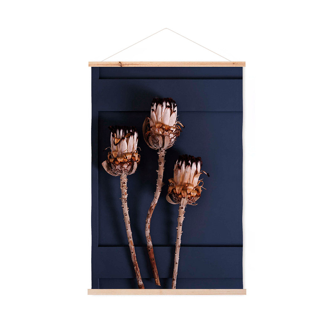 LIGHT PROTEAS ON NAVY WALL HANGING