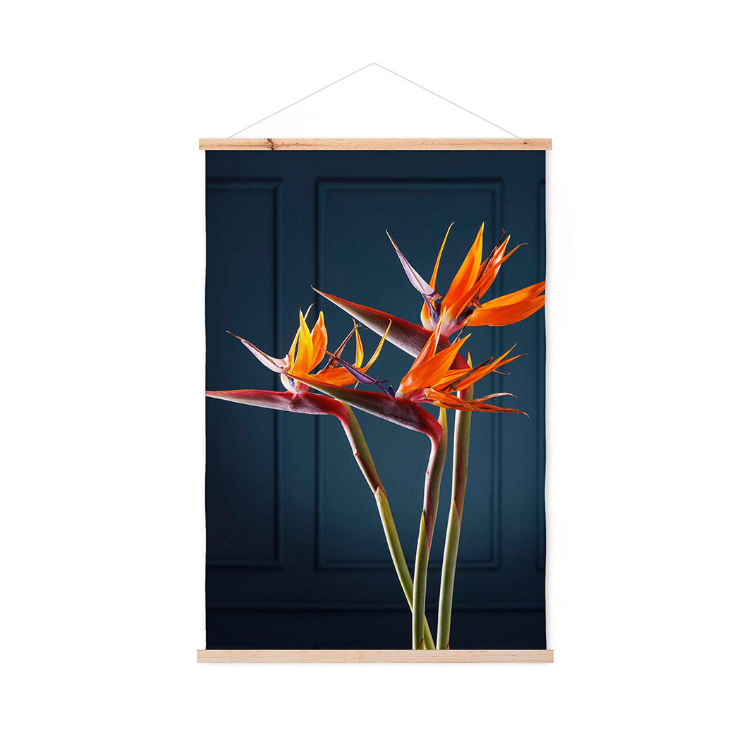 STRELITZIA TRIO ON RICH BLUE WALL HANGING