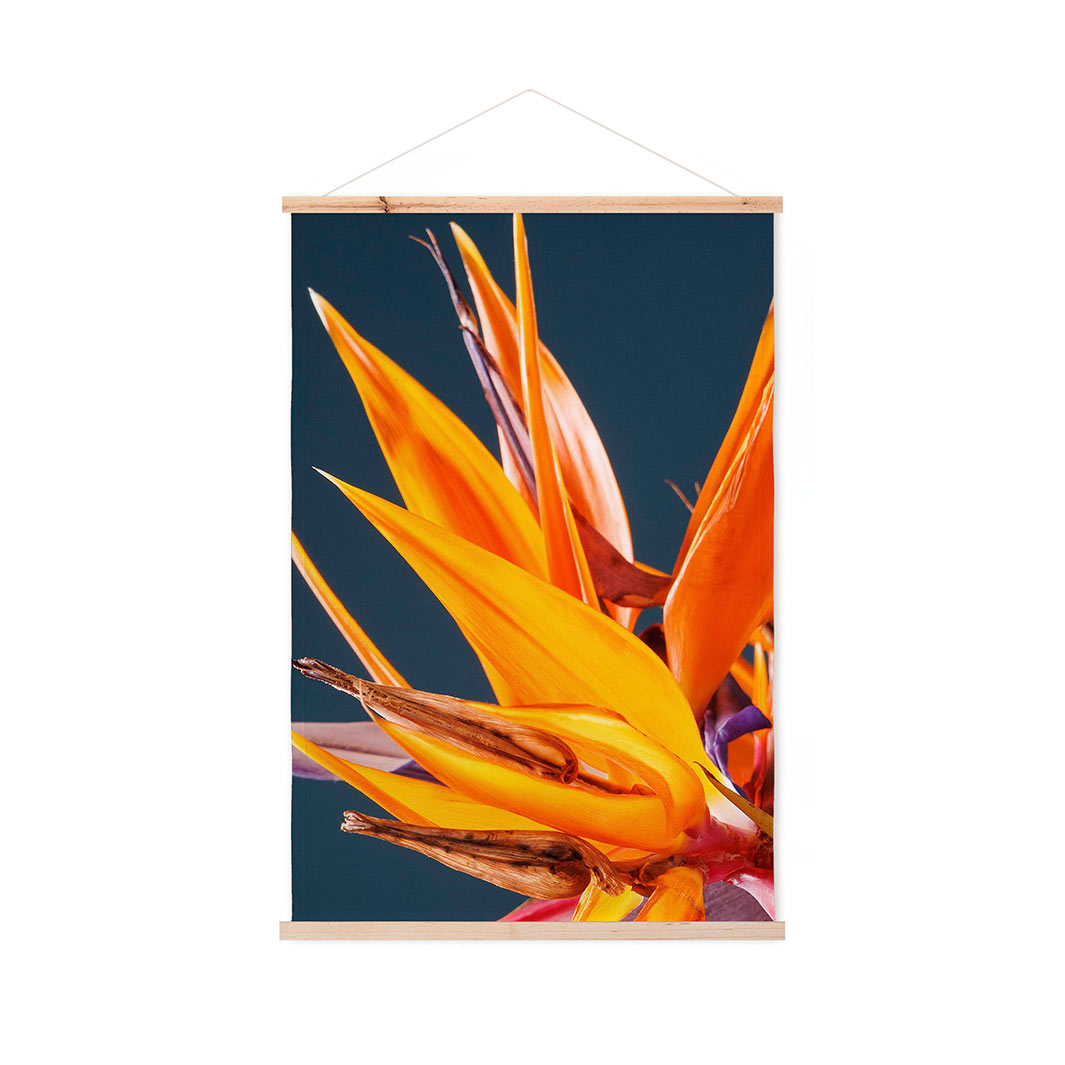 STRELITZIA ORANGE ON BLUE WALL HANGING