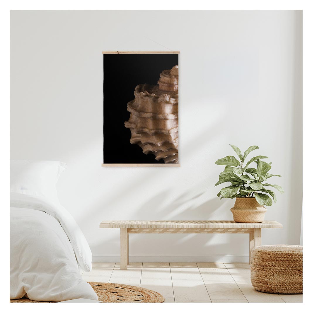 TEXTURED SEA SHELL ON BLACK WALL HANGING