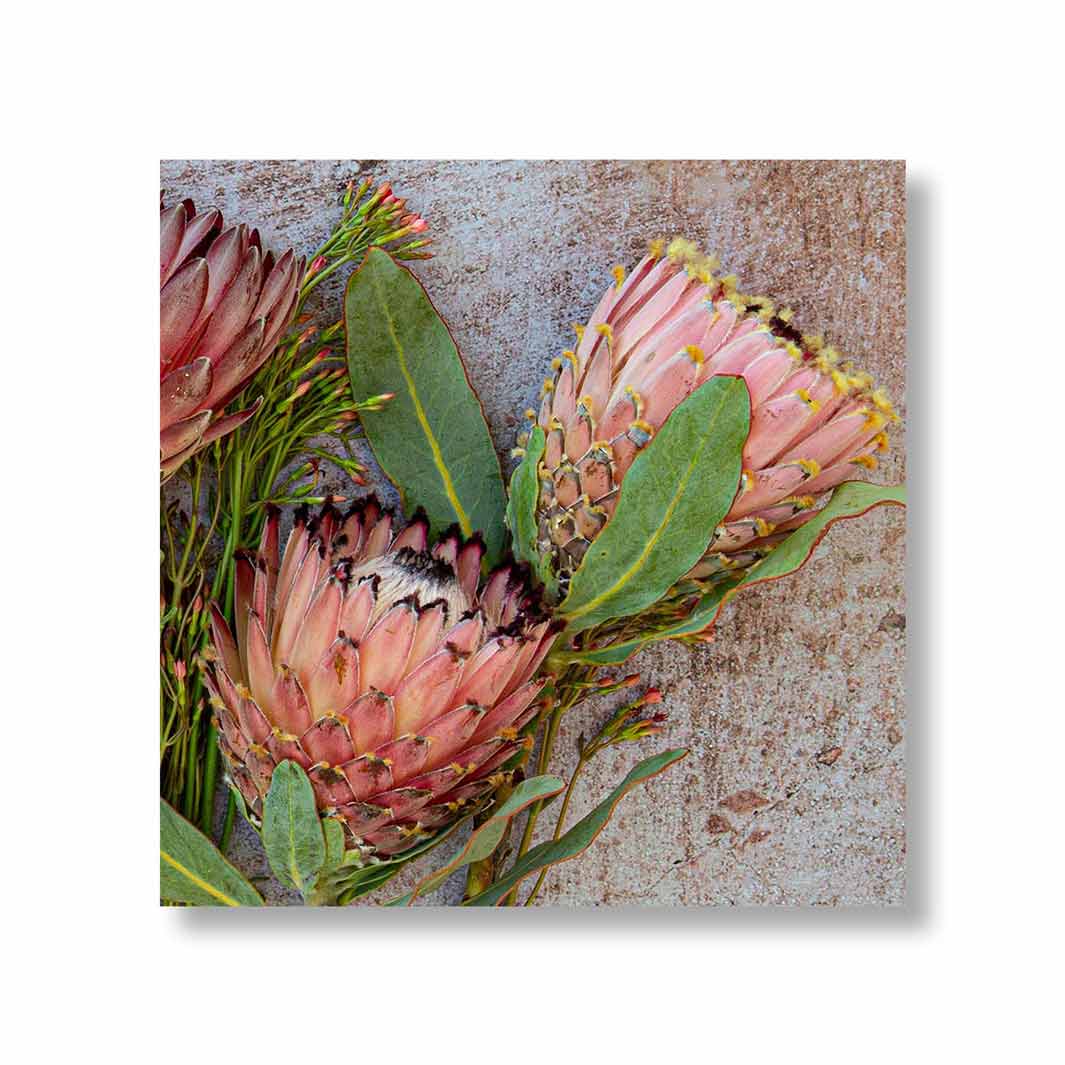 FLORAL PINK MIXED PROTEAS PERSPEX