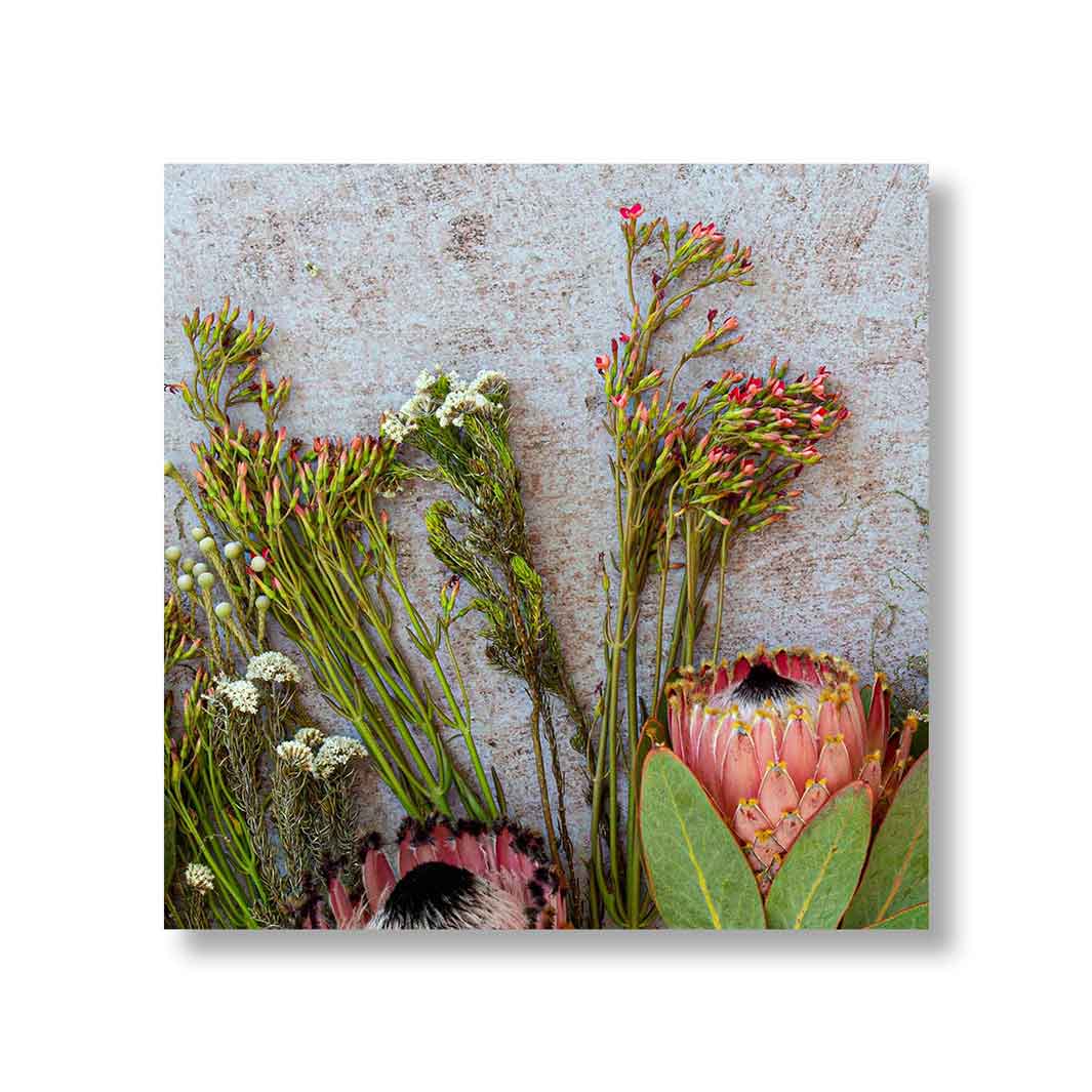 FLORAL PINK MIXED PROTEASWITH GREEN FOLIAGE PERSPEX