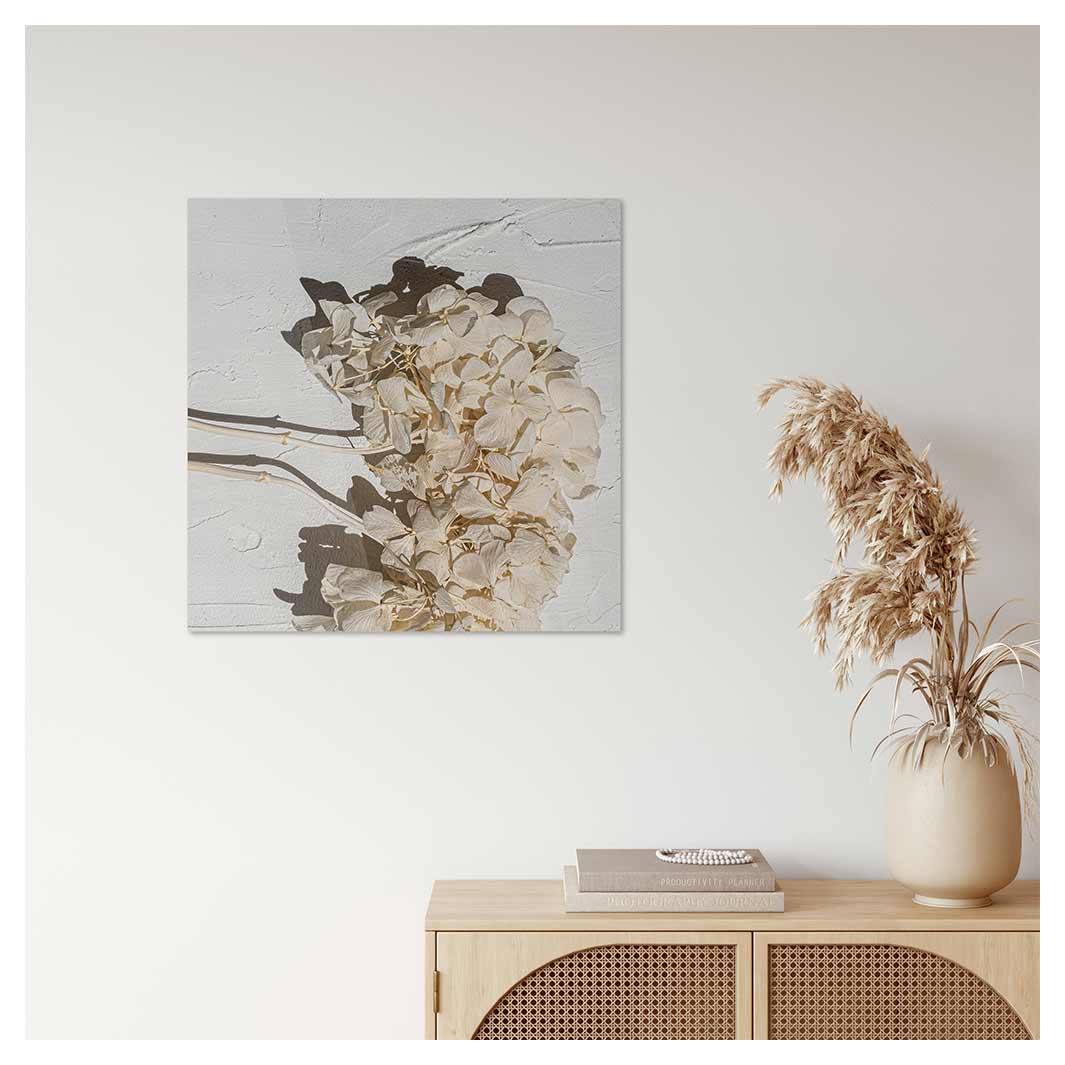 FLORAL CREAM BLEACHED HYDRANGEA BUNCH PERSPEX