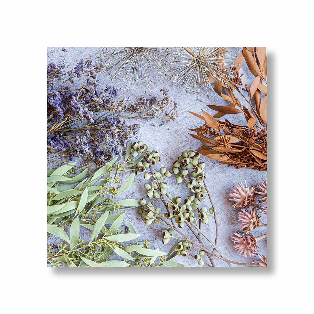 LEAVES BROWN NATURAL AMBERNUTS WITH GREEN FOLIAGE PERSPEX