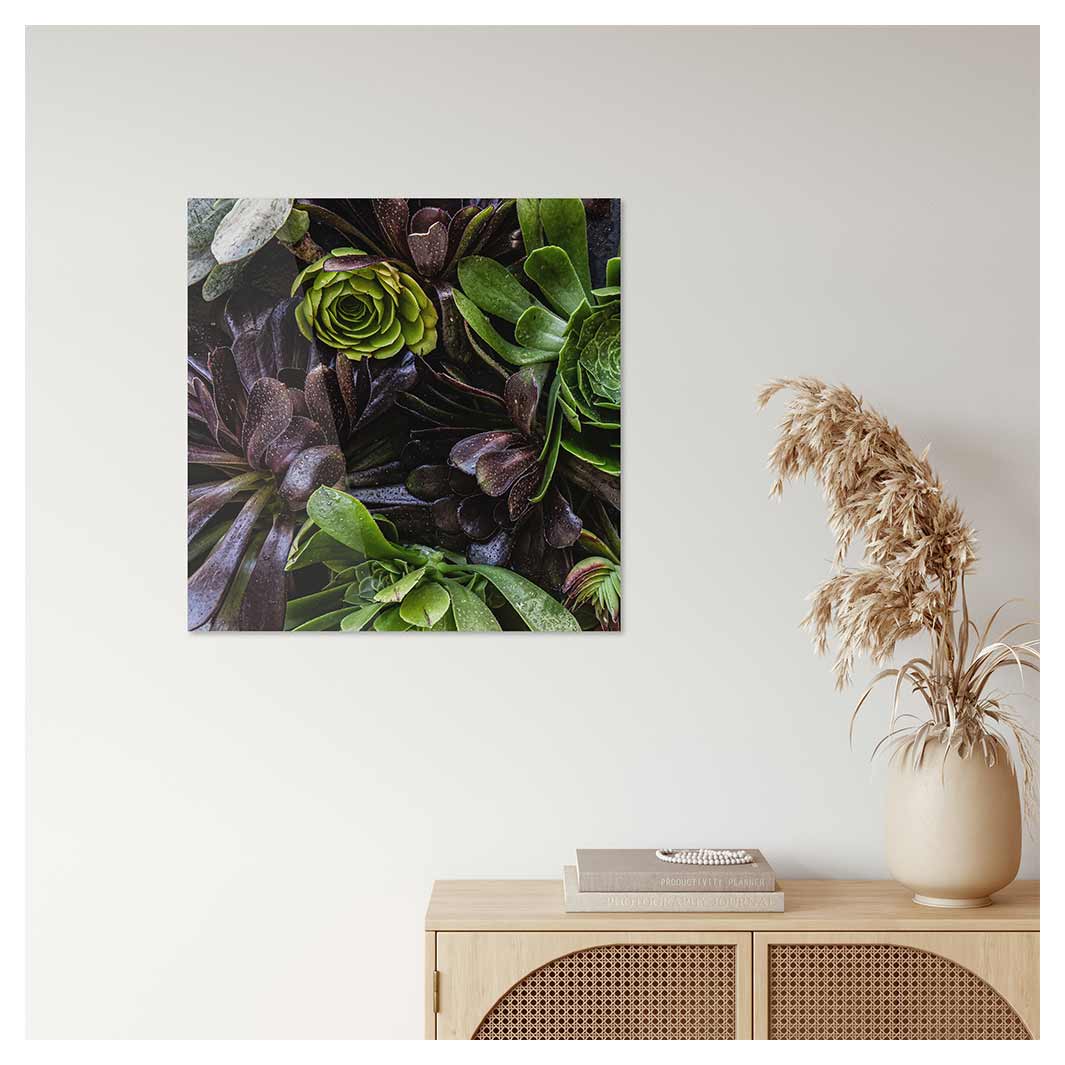 NATURAL GREEN AND PURPLE ALOE GARDEN PERSPEX
