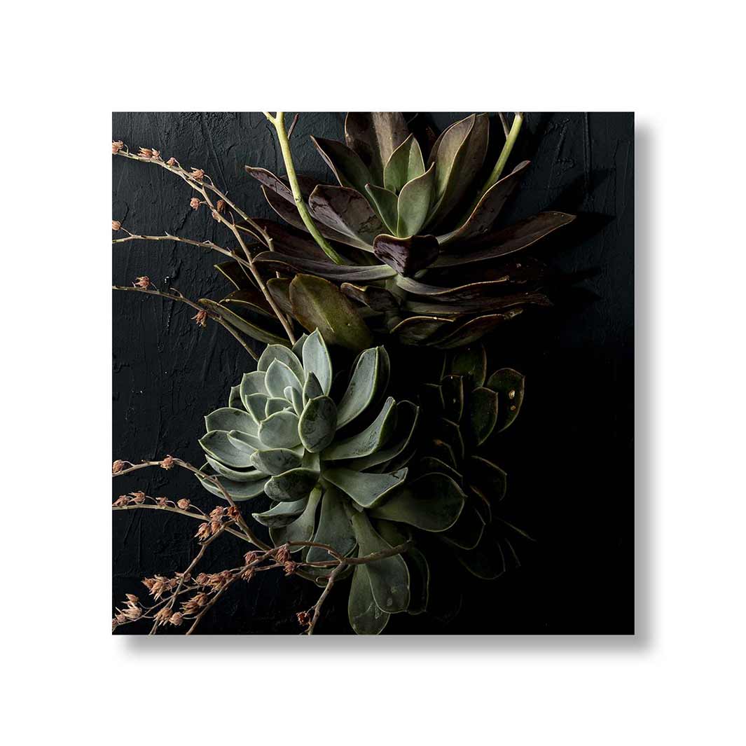 NATURAL GREEN ALOE BUSH WITH LEAVES PERSPEX