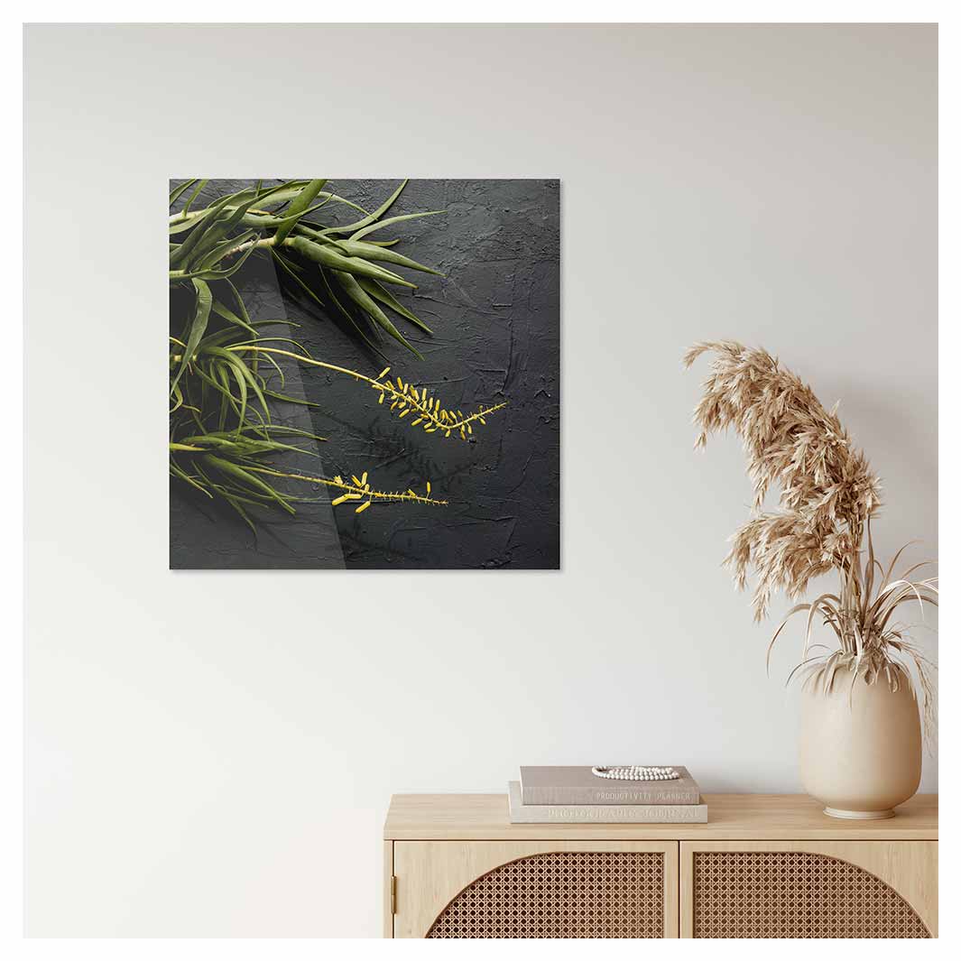 NATURAL YELLOW BLOSSOMS ALOE BUSH ON GREY PERSPEX
