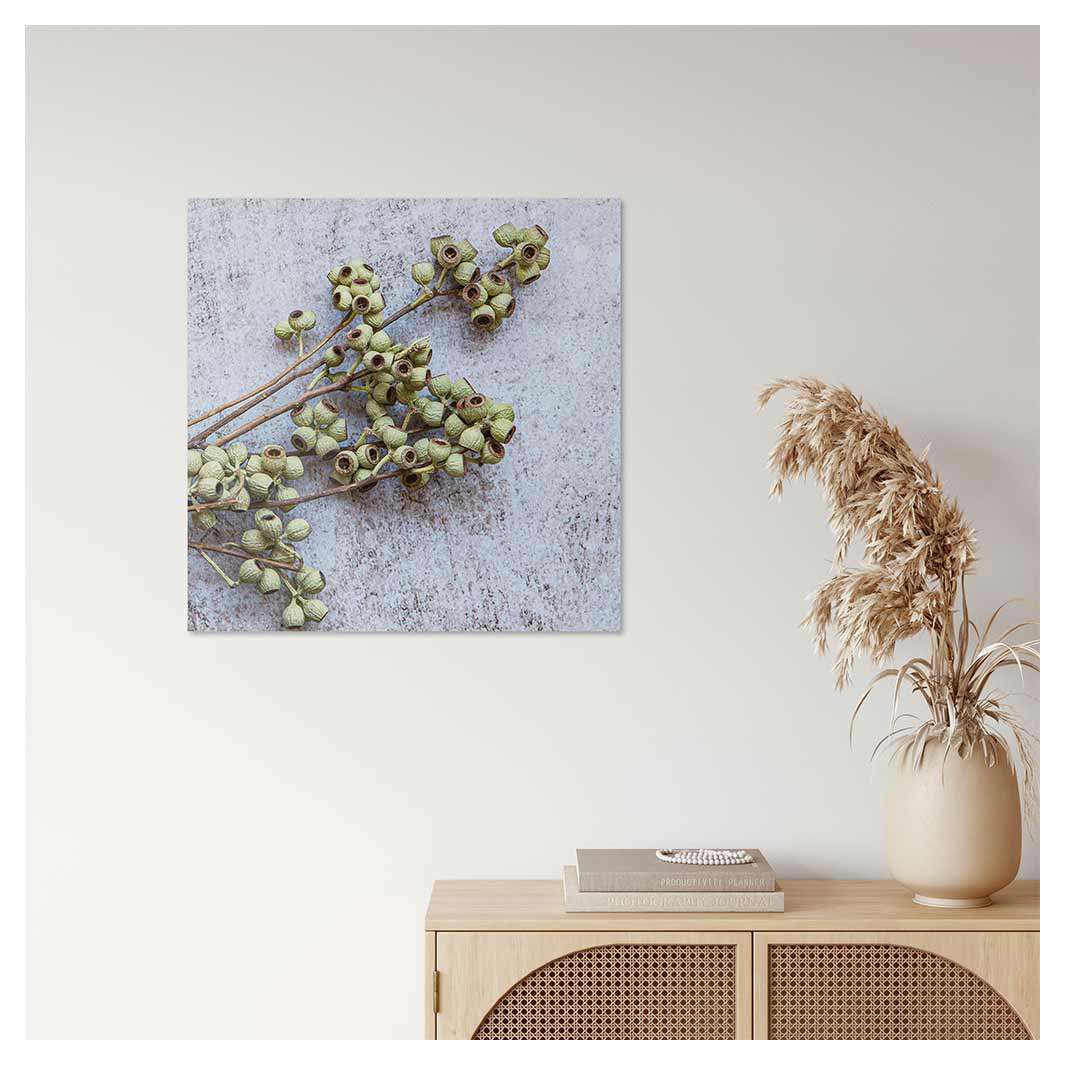 NATURAL GREEN NATURAL AMBERNUTS PERSPEX