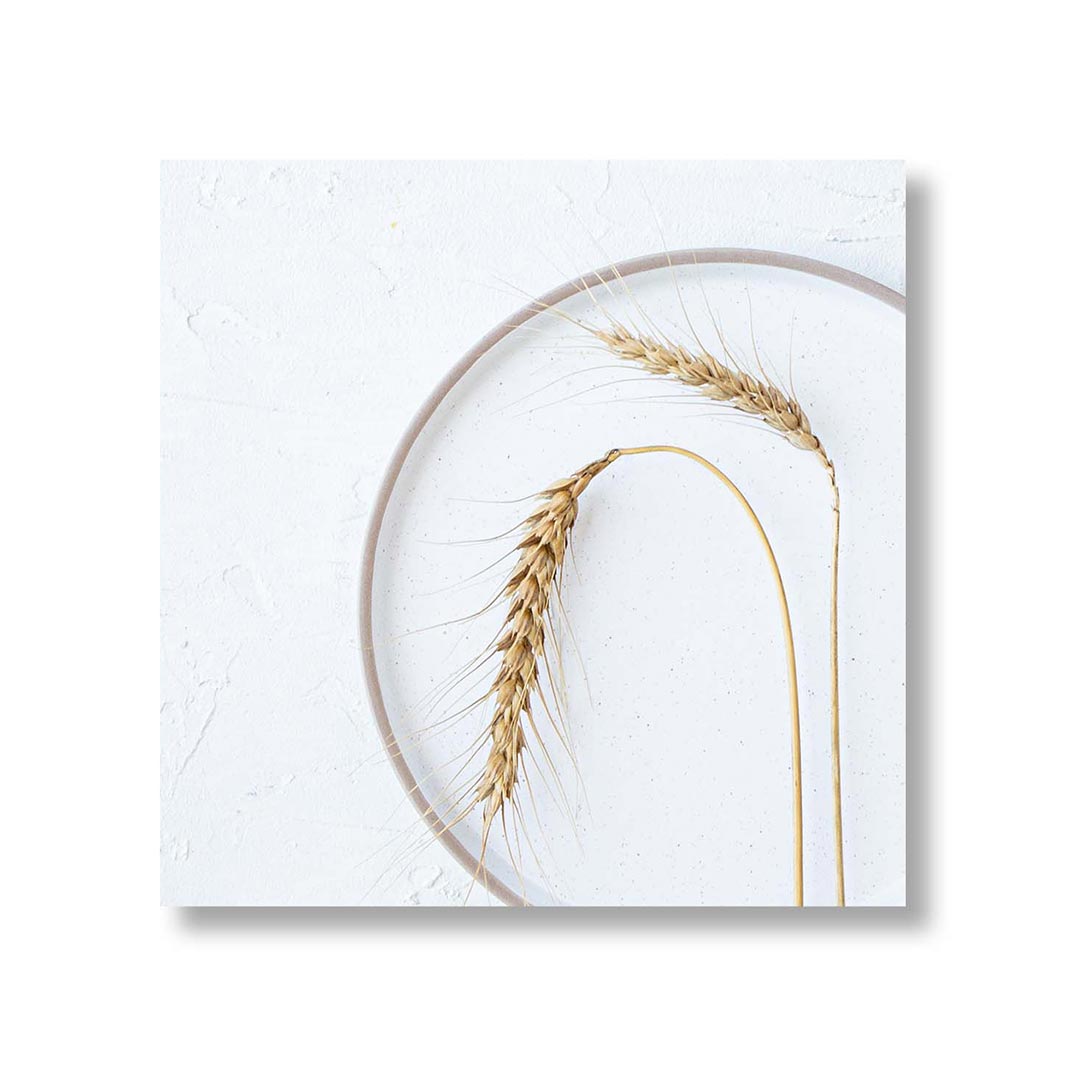 NATURAL BEIGE WHEAT ON WOOD AND WHITE PERSPEX