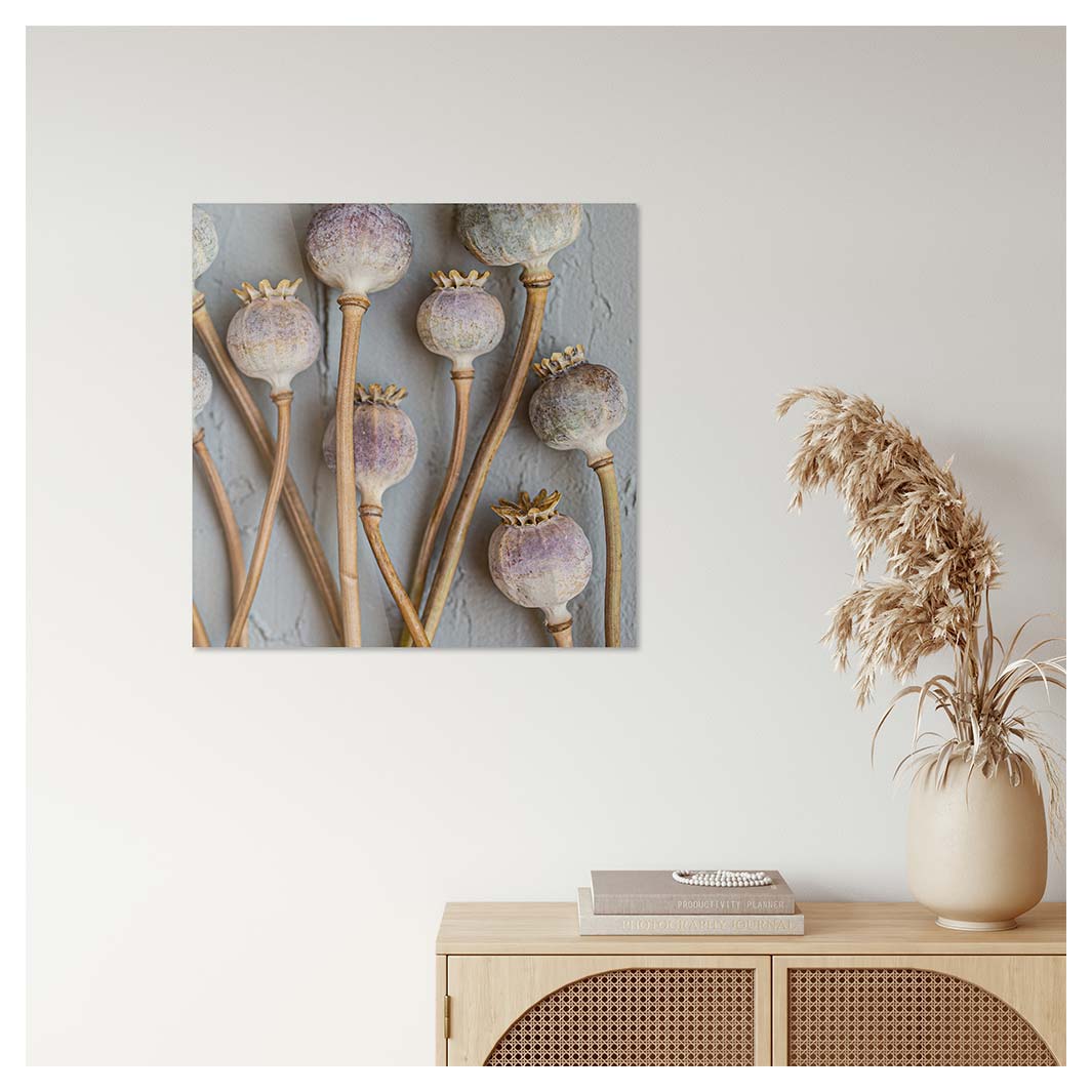 NATURAL PURPLE GIANT POPPY SEEDS ON GREY PERSPEX