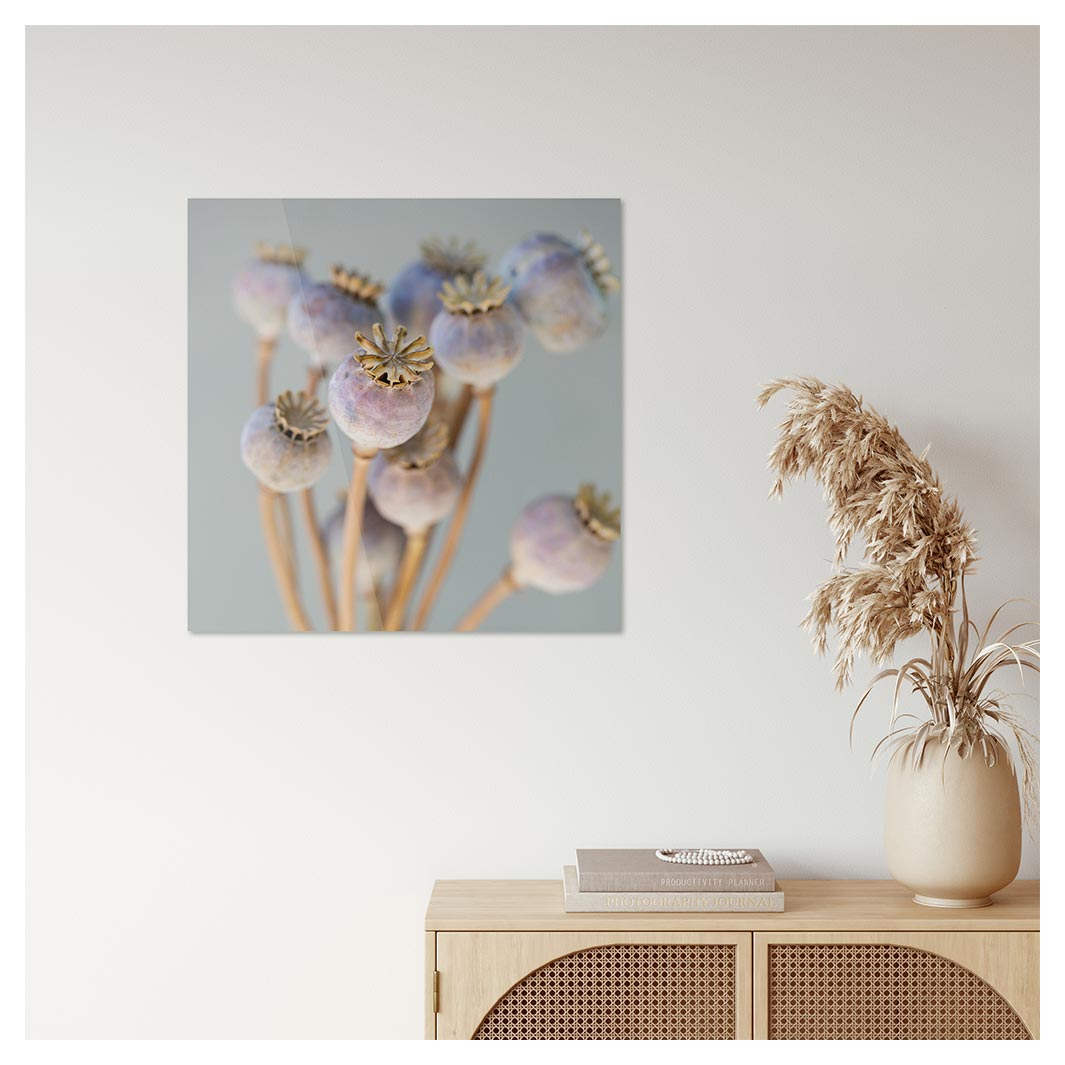 NATURAL PURPLE GIANT POPPY SEED BUNCH ON GREY PERSPEX