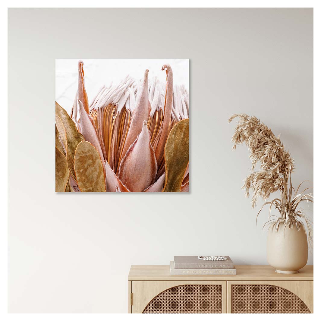 PROTEA MUTED PINK AND OLIVE CLOSEUP PERSPEX