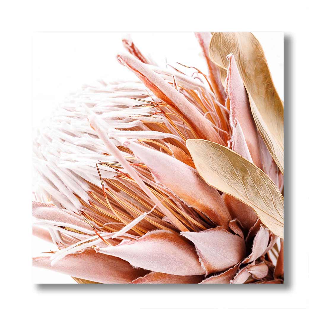 LIGHT PROTEA PINK AND OLIVE PERSPEX