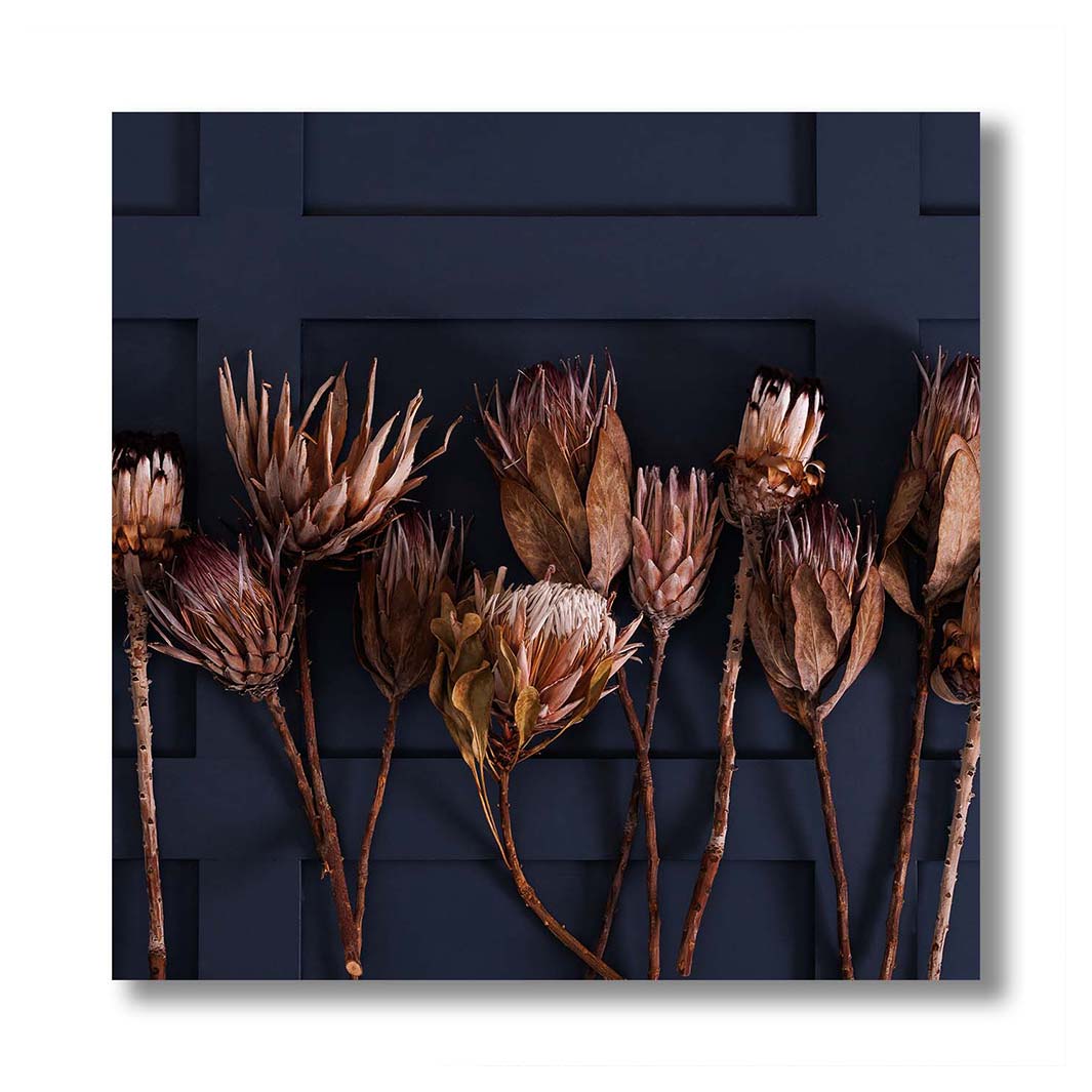 GOLDEN PROTEA ARRANGEMENT ON DARK BLUE PERSPEX