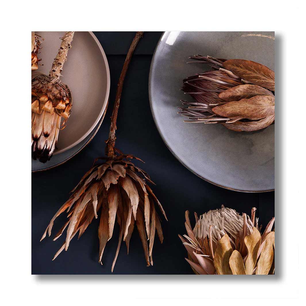 GOLDEN PROTEA AND PLATES PERSPEX