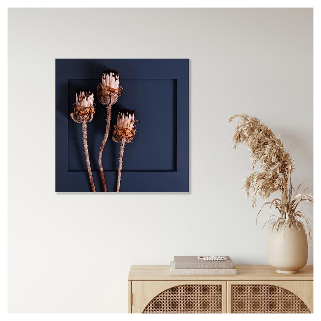 LIGHT PROTEAS ON NAVY PERSPEX