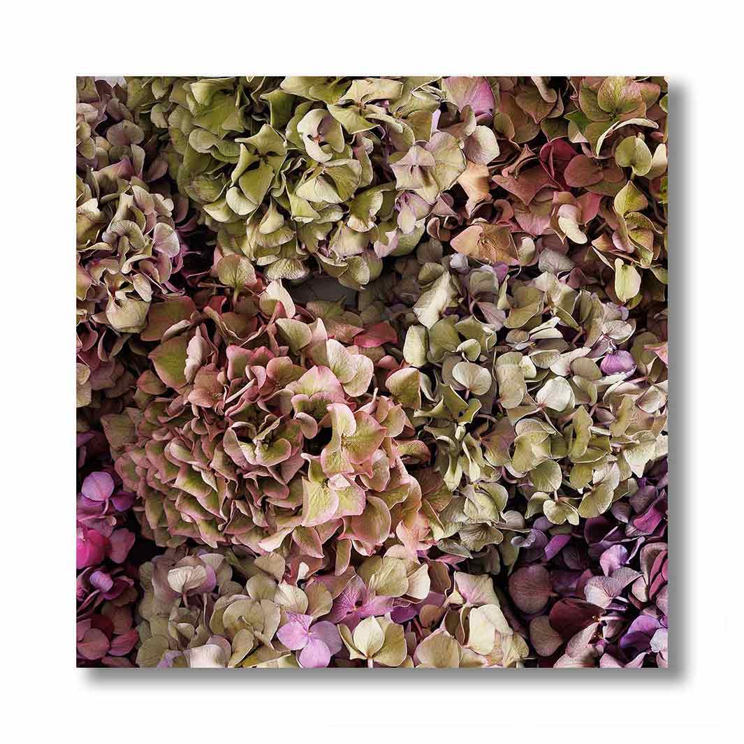 HYDRANGEA GEO RED BLOCKS ARRANGEMENT PERSPEX