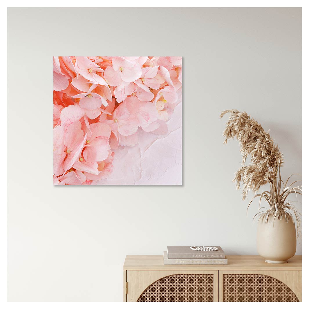 HYDRANGEA SOFT PINK PERSPEX