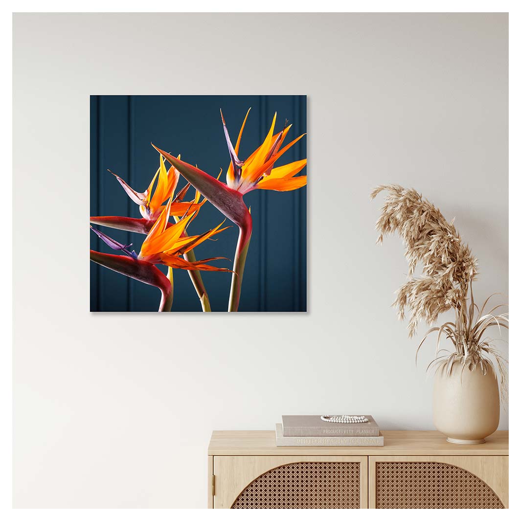 STRELITZIA TRIO ON RICH BLUE PERSPEX