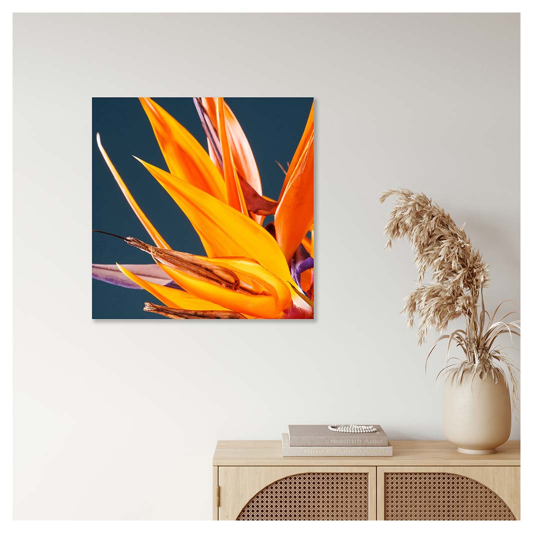 STRELITZIA ORANGE ON BLUE PERSPEX