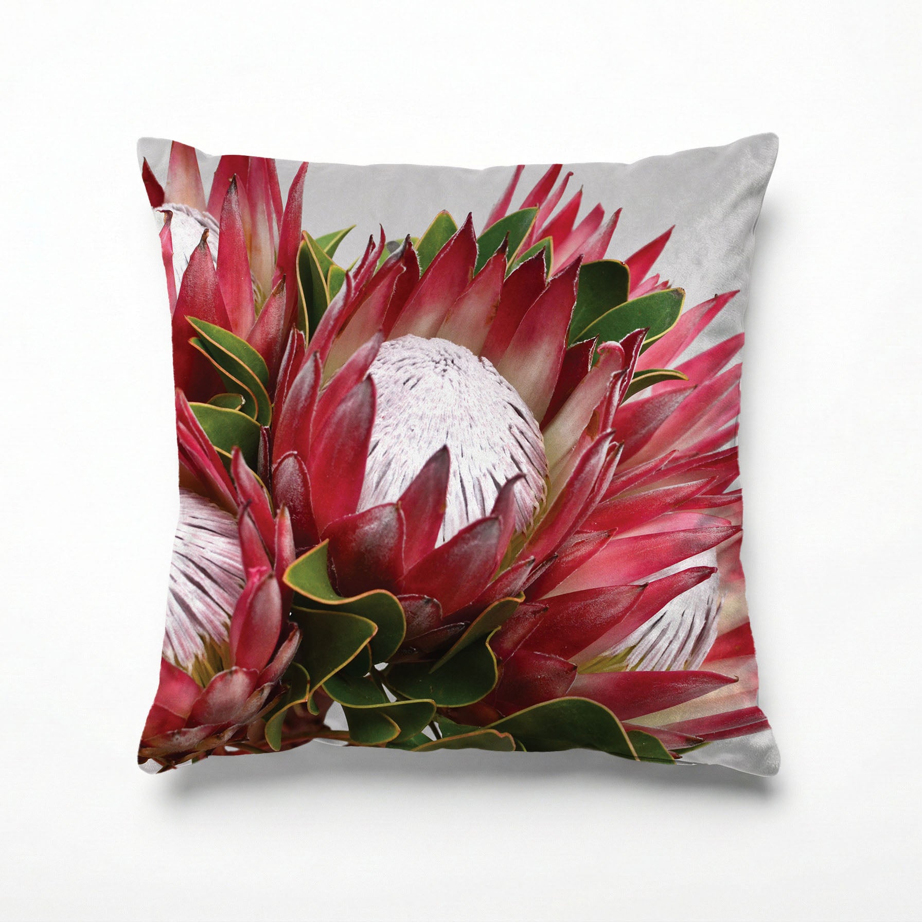 THE CLUSTER PROTEAS SCATTER CUSHION