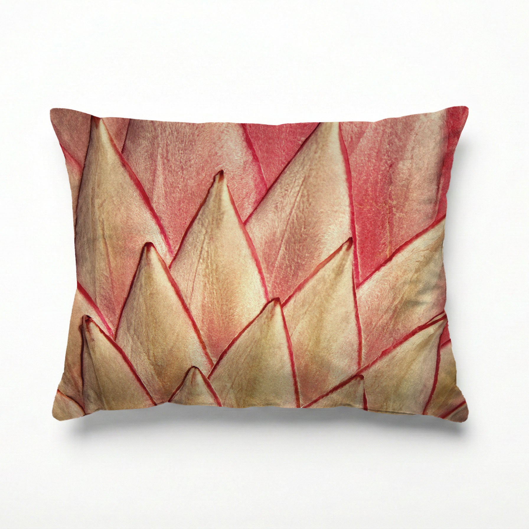 PINK PROTEA DETAIL SCATTER CUSHION