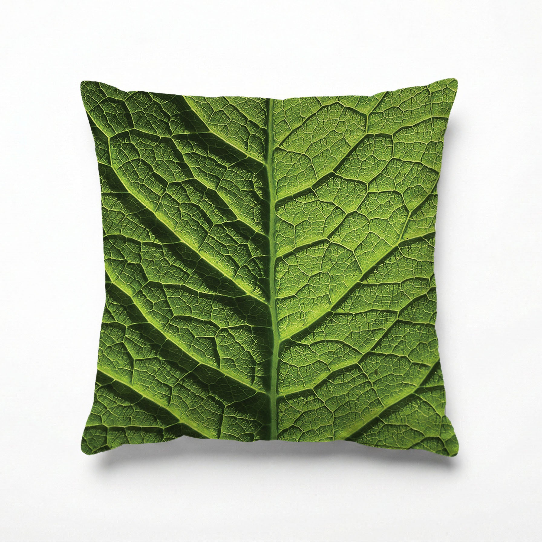 GREEN VEINS SCATTER CUSHION