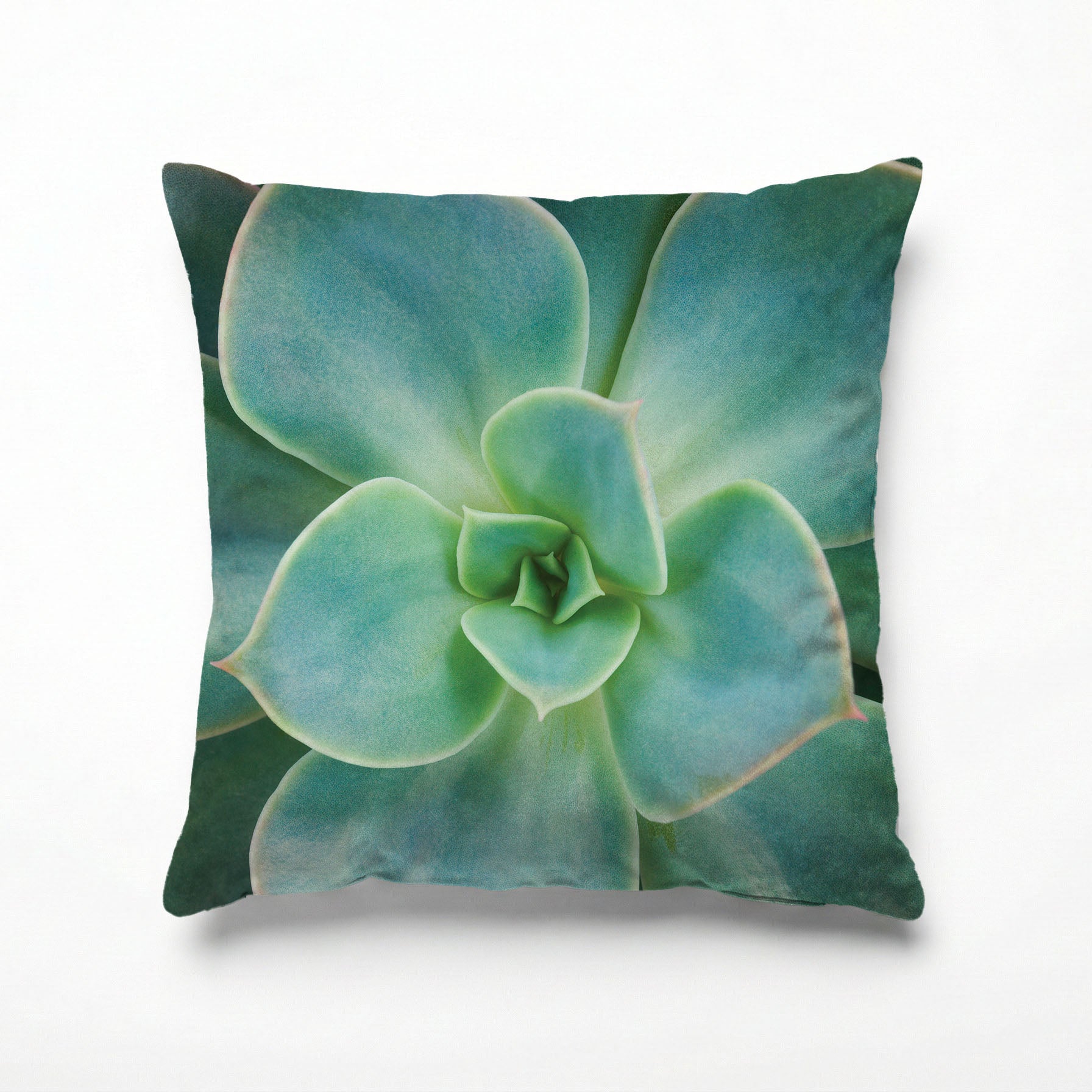 SOFT ROSETTE SUCCULENT SCATTER CUSHION