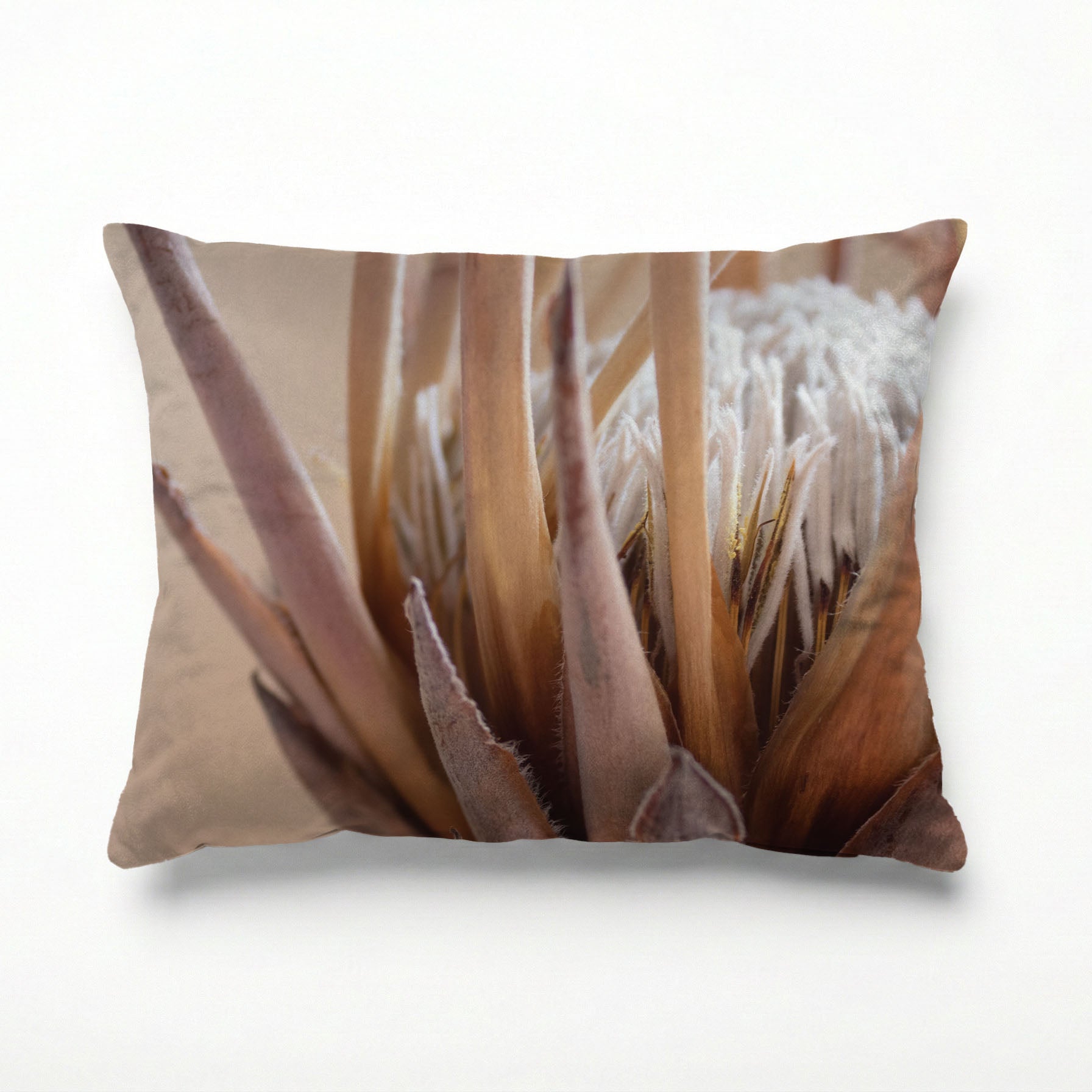 RUSTIC KING PROTEA SCATTER CUSHION