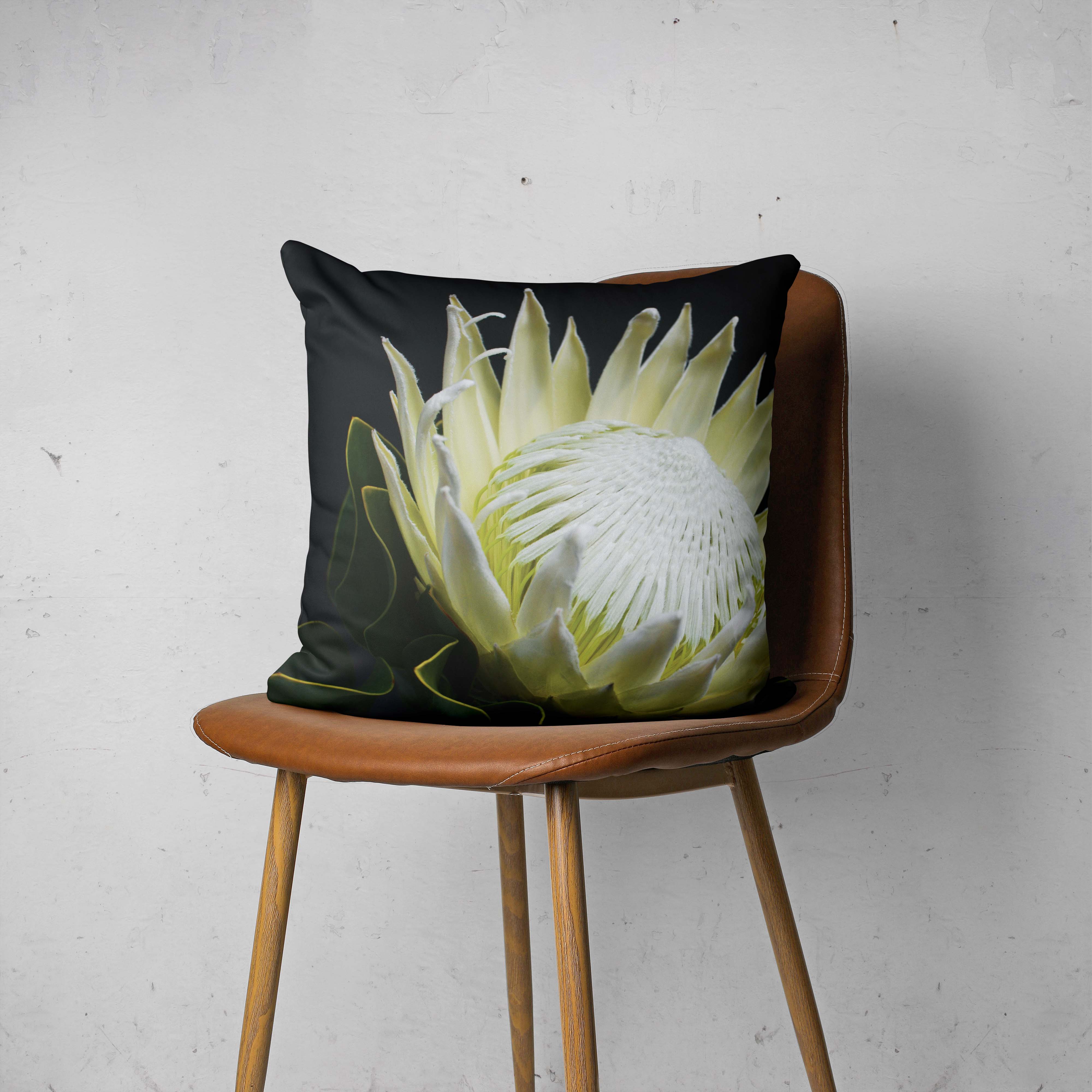 MIDNIGHT WHITE PROTEA UP CLOSE SCATTER CUSHION