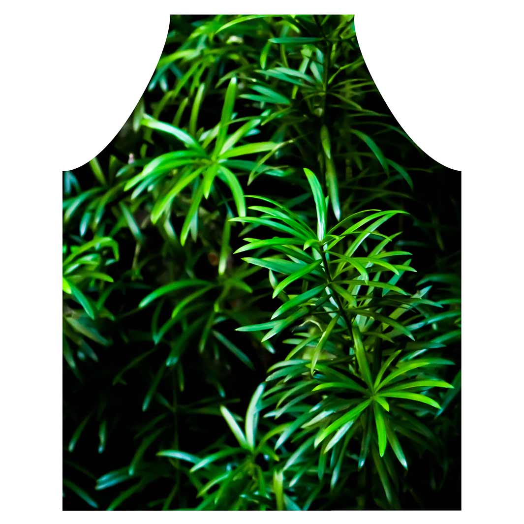 LEAVES GREEN TREE APRON