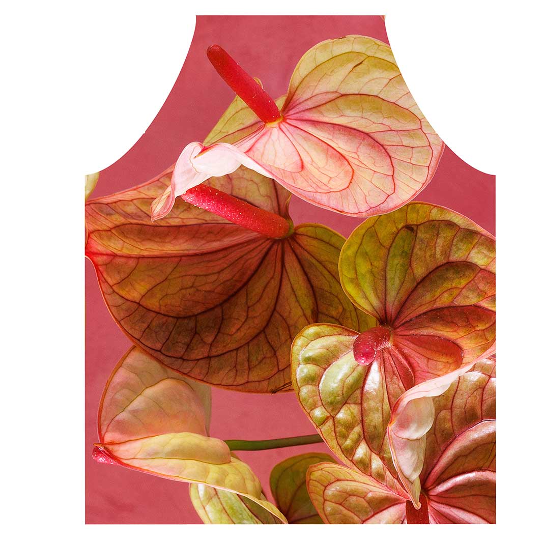 ANTHURIUM LIGHT PINK AND GREEN ON MAGENTA APRON