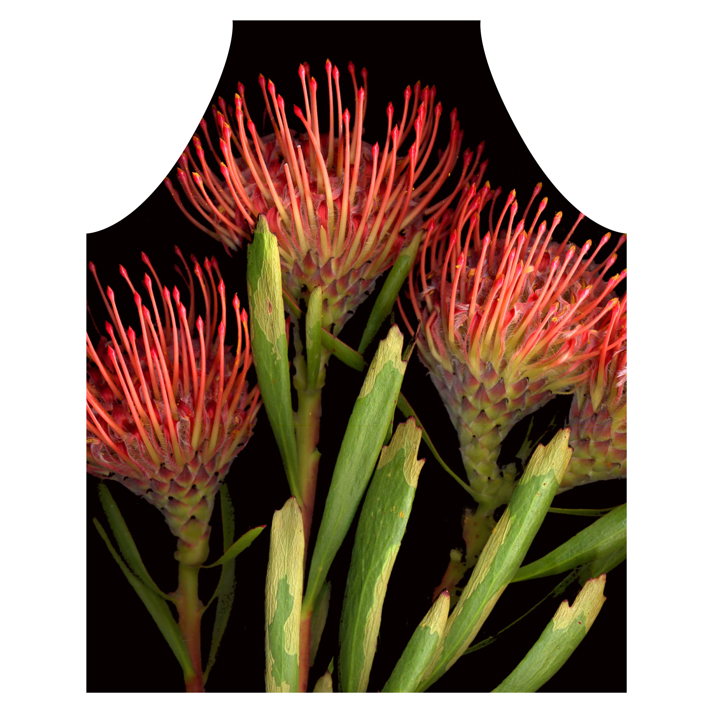 FIREWROK PINCUSHION APRON