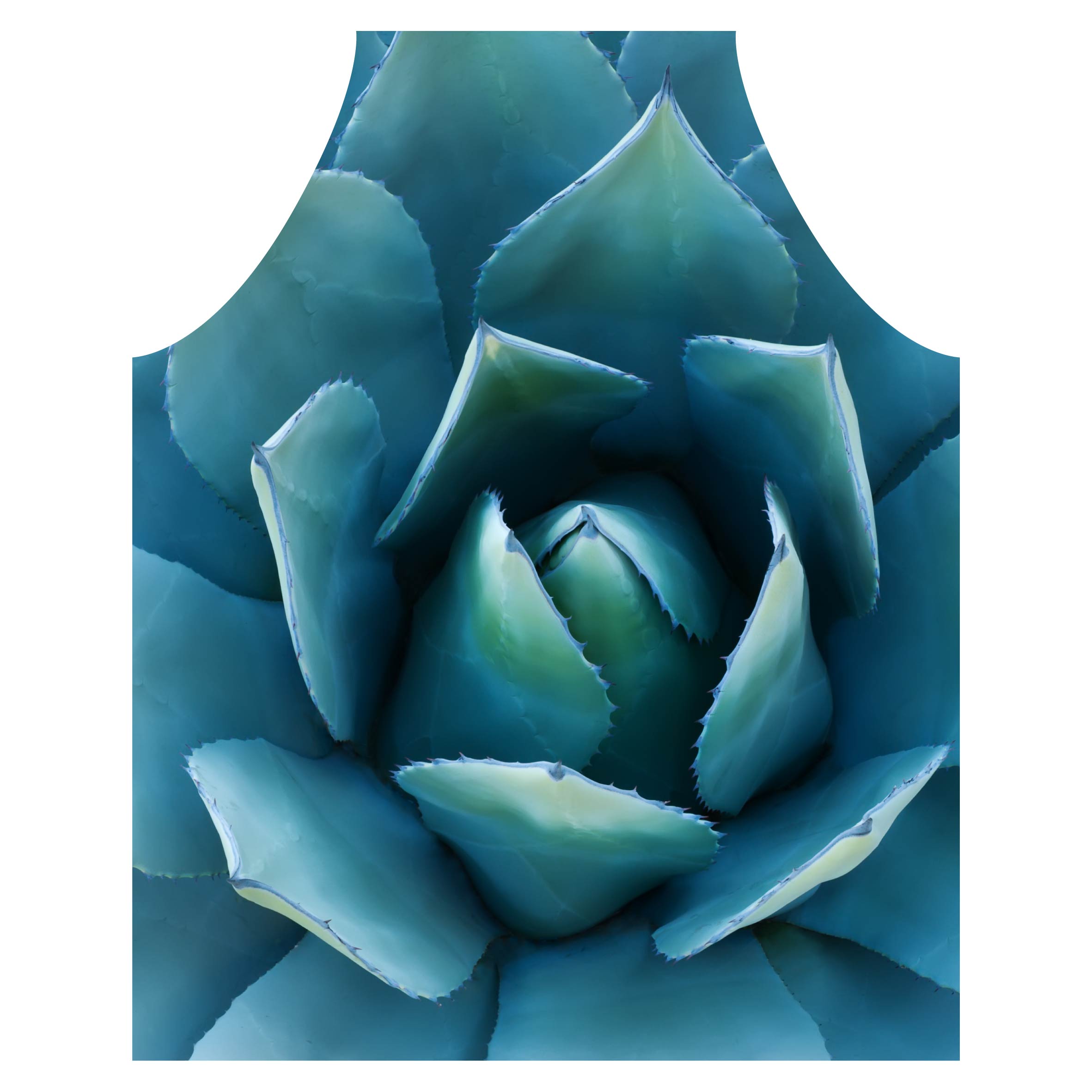 BLUE POINT SUCCULENT APRON