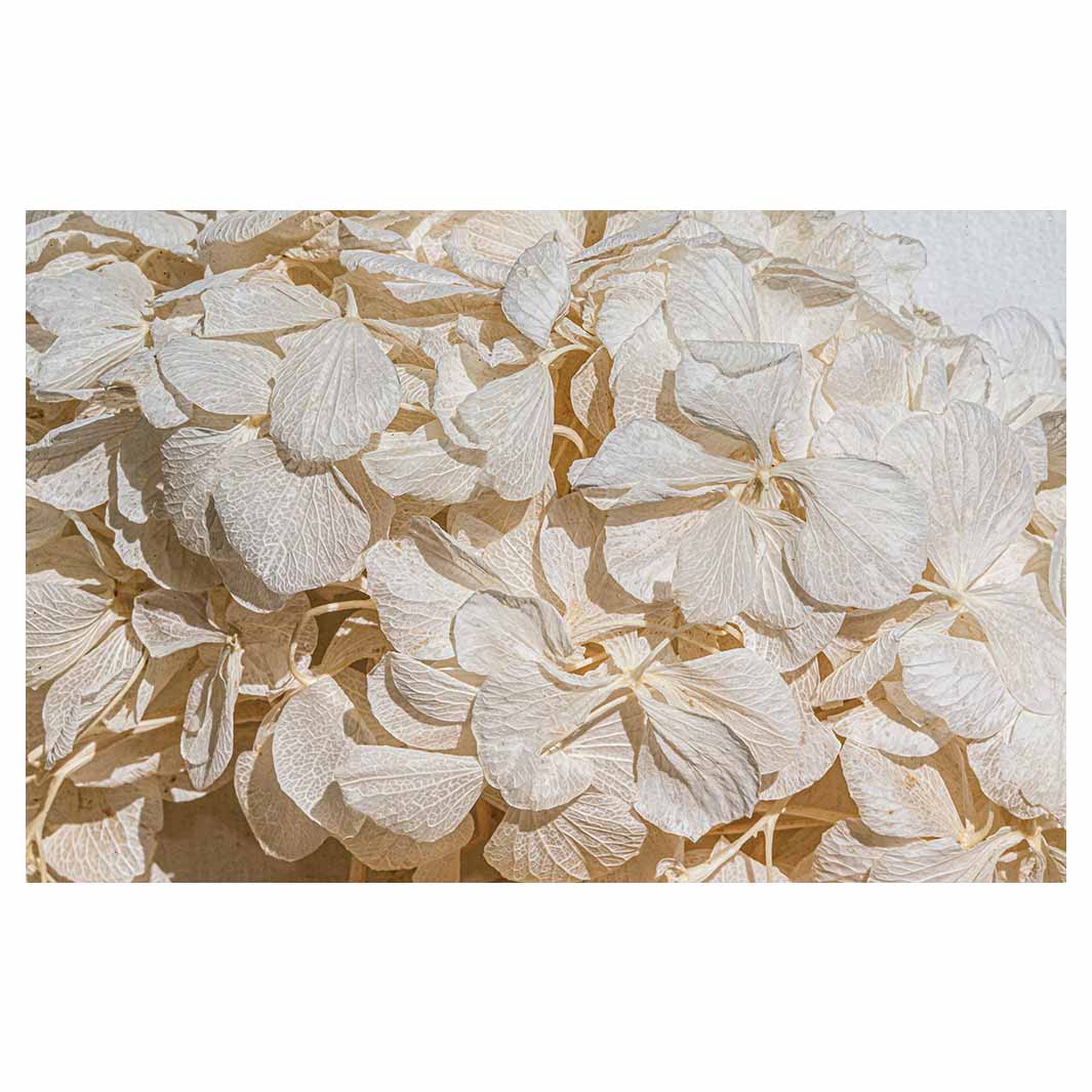 FLORAL CREAM BLEACHED HYDRANGEA LEAVES BATHMAT