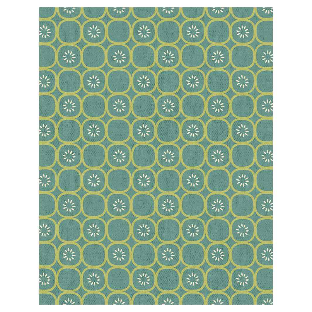 MINT CONDITIONFLEECE BLANKET