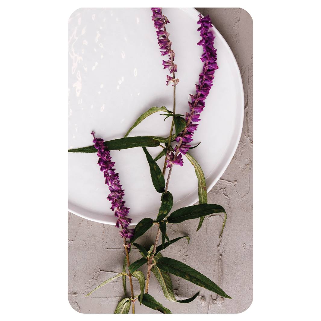 LAVENDER ON PLATE KITCHEN TOWEL